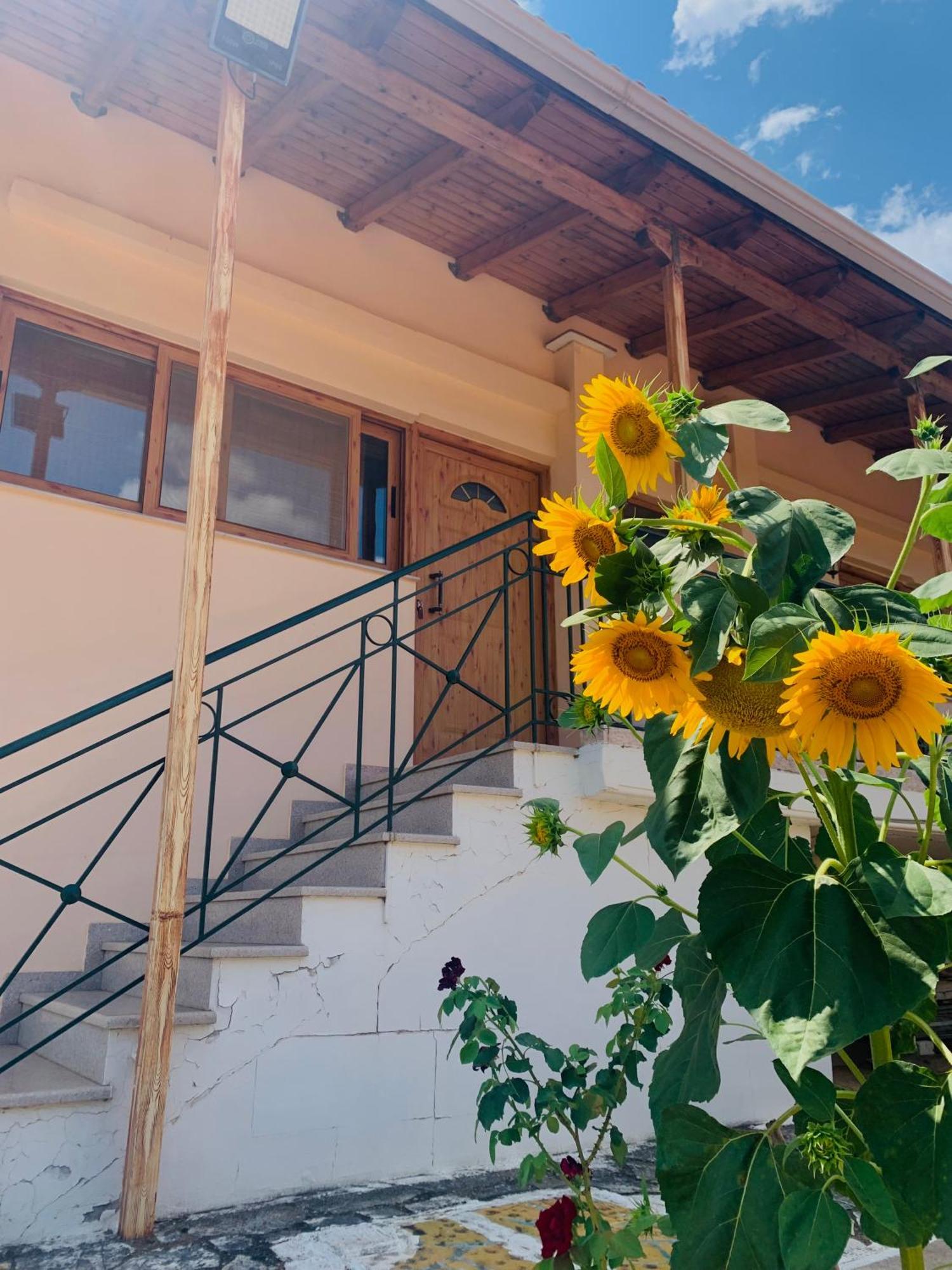 Bokas Exotic House Apartment Tragana  Exterior foto